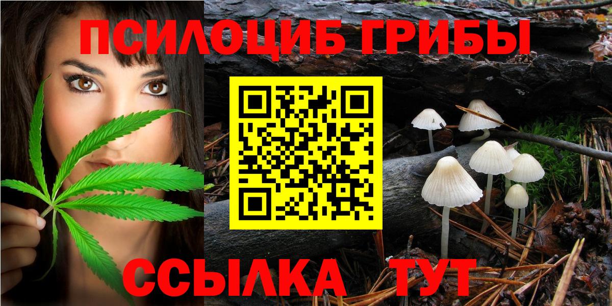 Псилоцибиновые грибы мицелий  Вход с VPN  Галлюциногенные грибы GOLDEN TEACHER  Кингисепп 